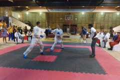 panamerican-karate-18