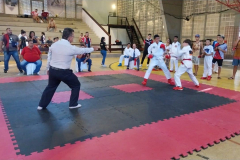 panamerican-karate-19