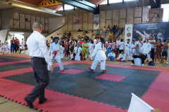 panamerican-karate-5